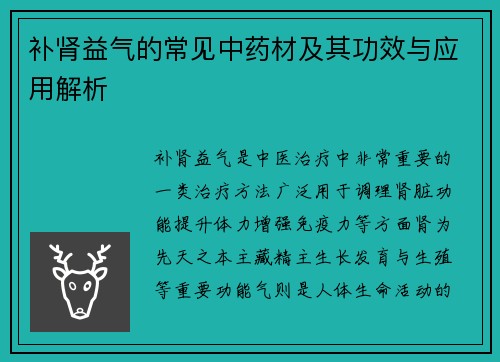 补肾益气的常见中药材及其功效与应用解析