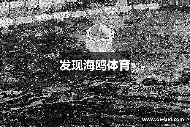 发现海鸥体育