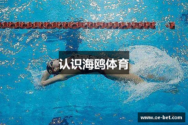 认识海鸥体育